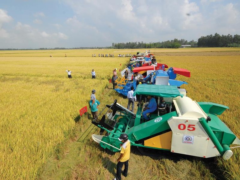 Đưa Việt Nam trở thành trung tâm chế biến nông sản Top 10 thế giới ảnh 1