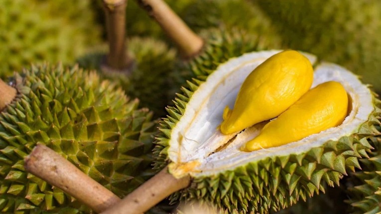 Doanh nghiệp Trung Quốc đánh giá thế nào về trái sầu riêng tươi của Việt Nam ảnh 1