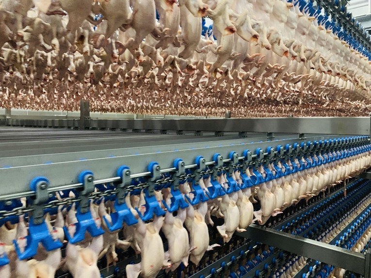 Việt Nam xuất khẩu 33,6 tấn thịt gà chế biến đầu tiên sang Nhật Bản ảnh 2