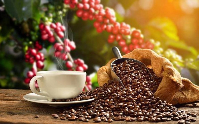 Xuất khẩu cà phê Việt Nam tăng trưởng tốt do khan hiếm nguồn cung