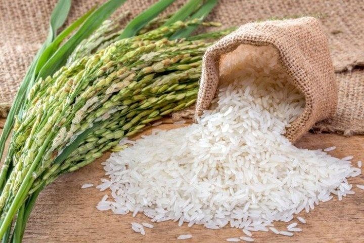 Gạo Việt Nam nhiều cơ hội vào thị trường Bắc Âu 